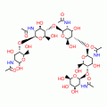 PENTA-N-ACETYLCHITOPENTAOSE