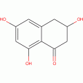 SCYTALONE(RG)