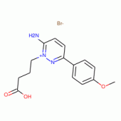 SR-95531 SPECIFIC GABA-A ANTAG