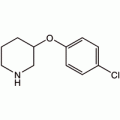 3-(4-氯苯氧基)哌啶