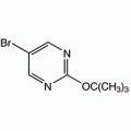 5-溴-2-(叔丁氧基)吡啶,95%