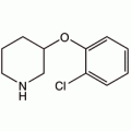 3-(2-氯苯氧基)哌啶