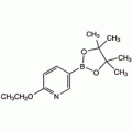 6-乙氧基吡啶-3-硼酸频哪醇酯